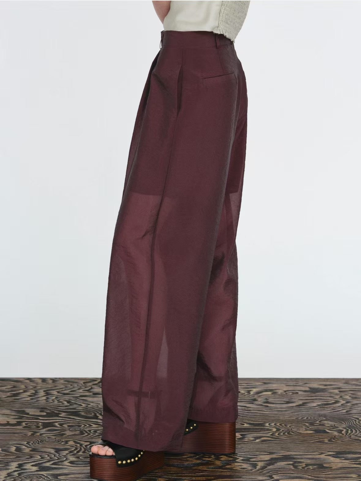 CHIC SHEER PANTS