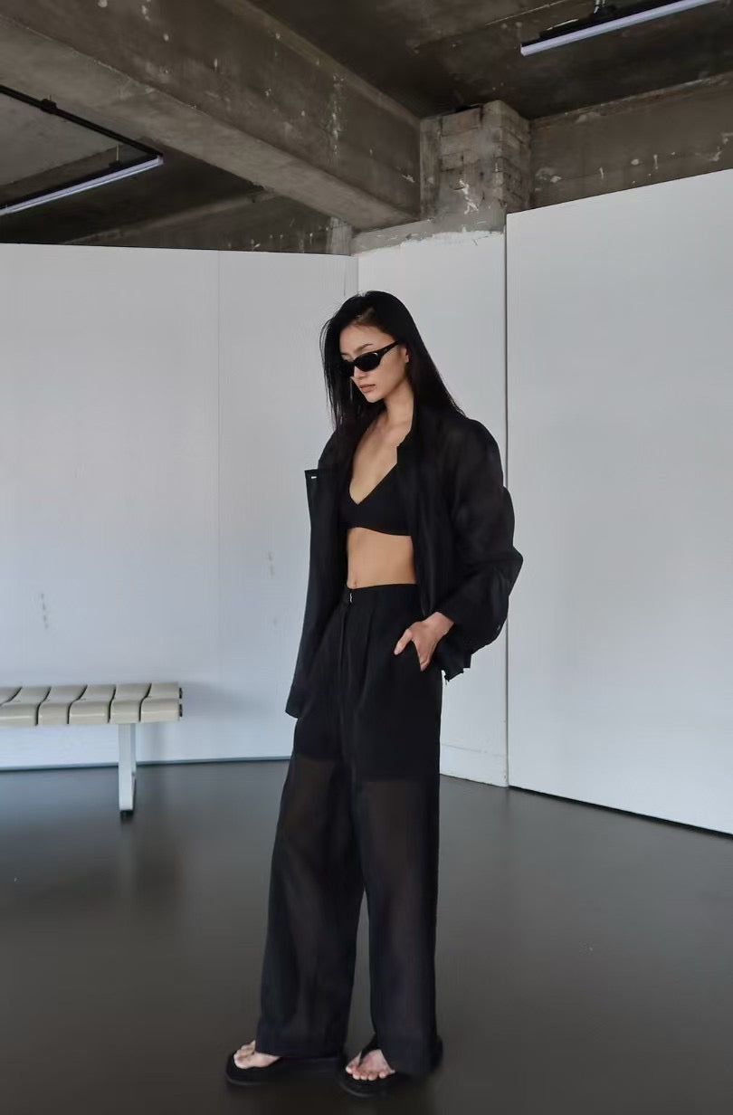 CHIC SHEER PANTS