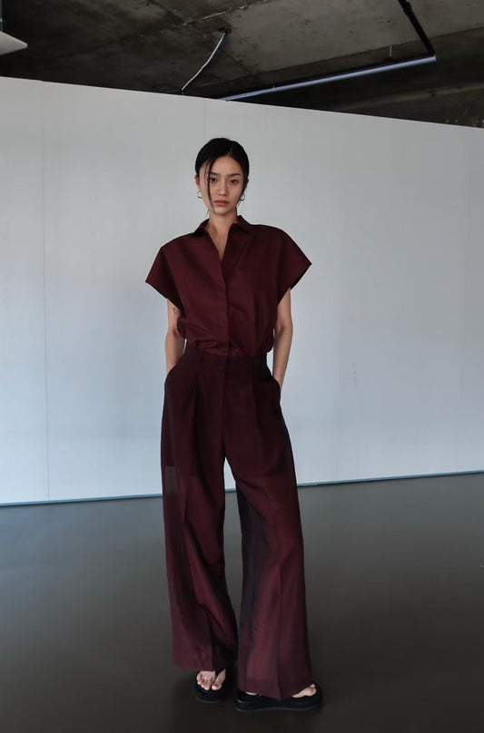 CHIC SHEER PANTS