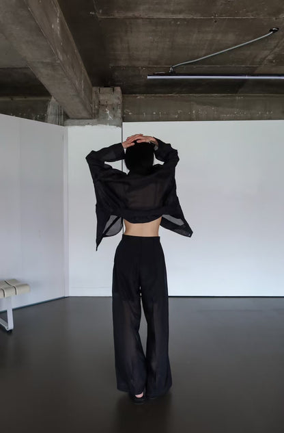 CHIC SHEER PANTS